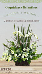 Arreglo con 2 Orquídeas Blancas Planta Viva Fúnebre