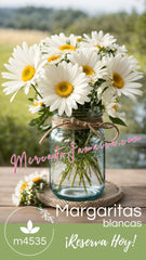 Mason Jar 1858 Margaritas Blancas