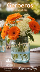Heritage Jars Co Gerberas con Gypsophilia