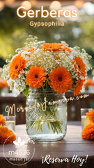 Heritage Jars Co Gerberas con Gypsophilia