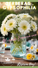 Mason Era designs Gerberas Blancas y Gypsophilia