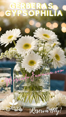 Mason Era designs Gerberas Blancas y Gypsophilia
