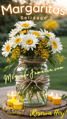 Americana Preserves Co Margaritas Blancas y Solidago