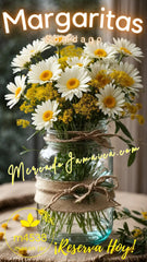 Americana Preserves Co Margaritas Blancas y Solidago