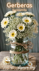Preserve Legacy Jars Margaritas Blancas y Gypsophilia