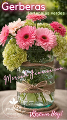 Antique Aegis Jars Gerberas Rosas y Hortensias