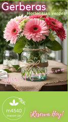 Antique Aegis Jars Gerberas Rosas y Hortensias