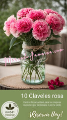 Centro de Mesa Mason Jar con Claveles Rosa