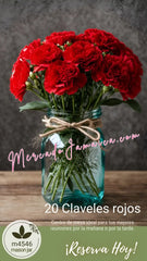 Centro de Mesa Mason Jar con Claveles Rojos