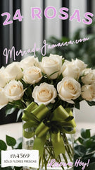 Sinfonia con 24 Rosas Blancas