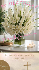 Sueño con 30 Gladiolas Blancas