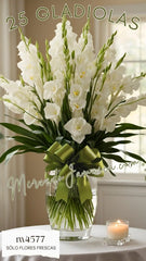 Tributo de Paz 25 Gladiolas Blancas en Florero Elegante