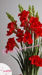Arreglo Floral