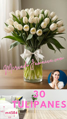Armonia con 30 Tulipanes