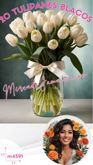 Arreglos con Tulipanes 20 Flores
