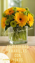 Buena Vibra con Gerberas