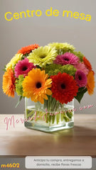 Centro de Mesa Cubo con Gerberas Colores