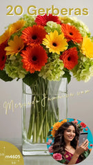 Gemas del jardín en amarillo y naranja