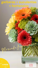 Herencia Floral Co Suculentas