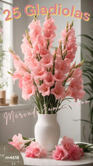 Flores Clasicas 25 Gladiolas Rosa
