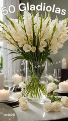 Flores Clasicas 50 Gladiolas Blanco