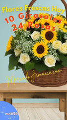 Besos del Sol, Canasta con Girasoles