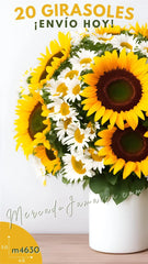 Girasol Radiante con Margaritas Blancas