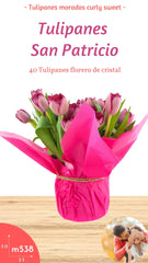 Arreglo Floral de Tulipanes San Patricio !