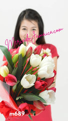 Jamaica Tierra de Flores Tulipanes Rojos