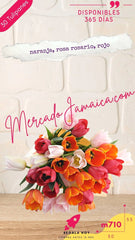 Ramos Flores de Tulipanes Rojos Amor Amor !