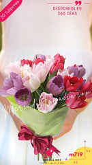 Ramos de Flores Tulipanes Morados Florida Tulips !