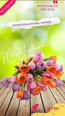 Arreglo Floral