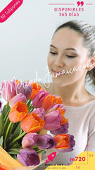 Florerias de Mexico 30 Tulipanes