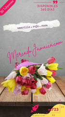 Floreria en Mexico Ramo con Tulipanes
