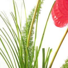 Arreglo con Tulipanes y Vino !