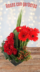 ¡Envio de Flores Mexico Rosas Rojas y Gerberas, Tradicion y Pasion!