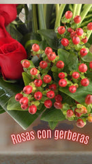 ¡Envio de Flores Mexico Rosas Rojas y Gerberas, Tradicion y Pasion!