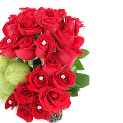 ¡Rosas Red Flamenco un Legado de Pasion y Orgullo!