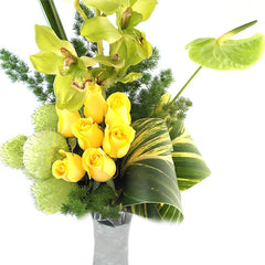 ¡Orquídeas Cymbidium Historias Entre Petalos!