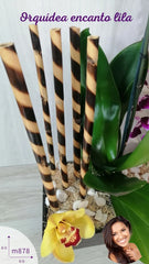 Flores a Domicilio Orquídea Encanto Lila !