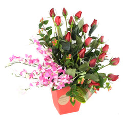 ¡Orquidea dendrobium Cosmo Lila Elegancia Exotica!