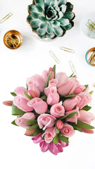 ¡Nido de Rosas y Tulipanes!