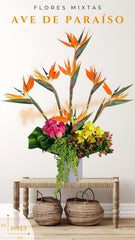 ¡Arreglo Orquídeas Amarillas Everest!