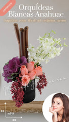 ¡Arreglo con Orquídeas Blancas Anahuac!