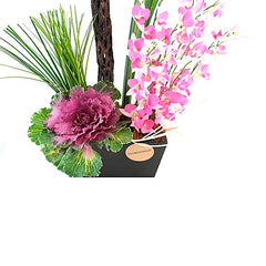 Arreglo de Orquídeas Lila Burgos !