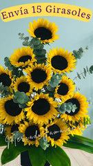 Envia Flores a Domicilio Girasoles Grandes !