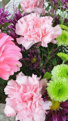 Margaritas y Claveles