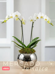 La orquídea que te hará sonreír