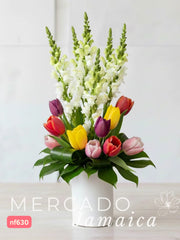 Ahora Tulipanes Mixtos