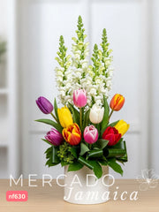 Ahora Tulipanes Mixtos